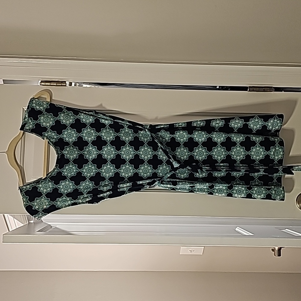 EUC Banana Republic shift dress size small petite